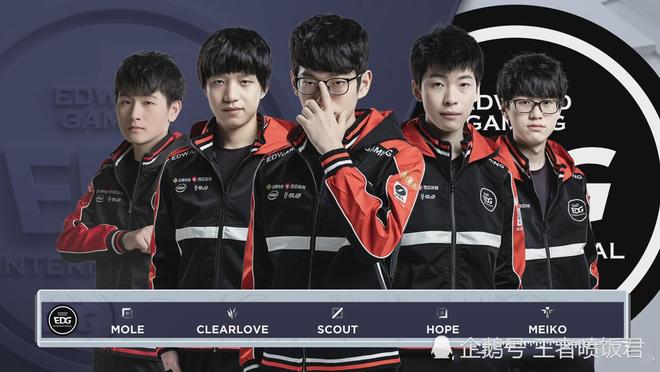 生态运动树 生态运动树