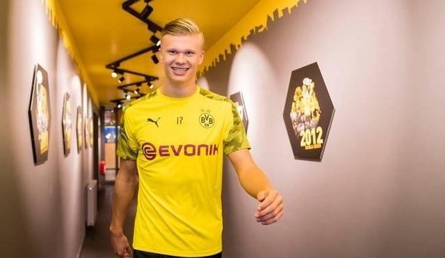 丰富的后卫 丰富的后卫